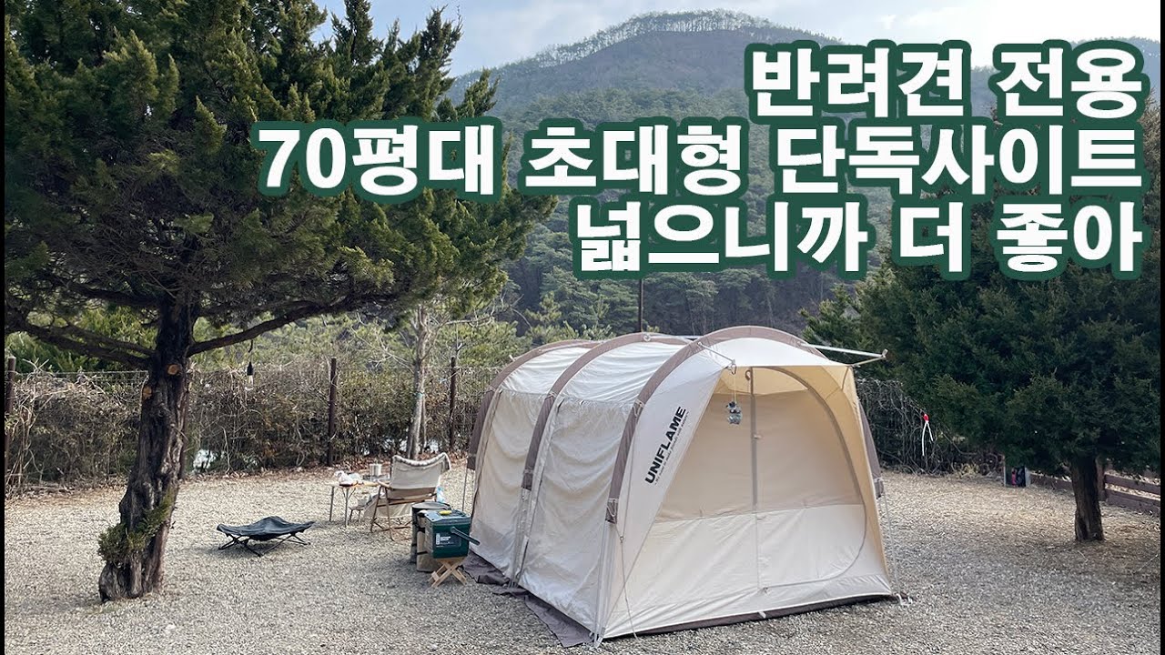 EP.1 초대형 단독 사이트! 반려견 전용 캠핑장 트리독스 | 유니프레임 브레드돔 1년이면 피칭이 쉽다