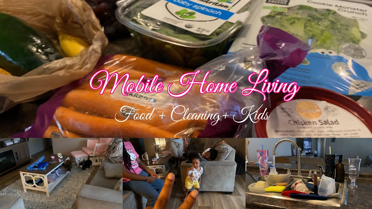 FOOD PANTRY HAUL & CLEANING MY MOBILE HOME #mobilehomeliving #foodpantryhaul