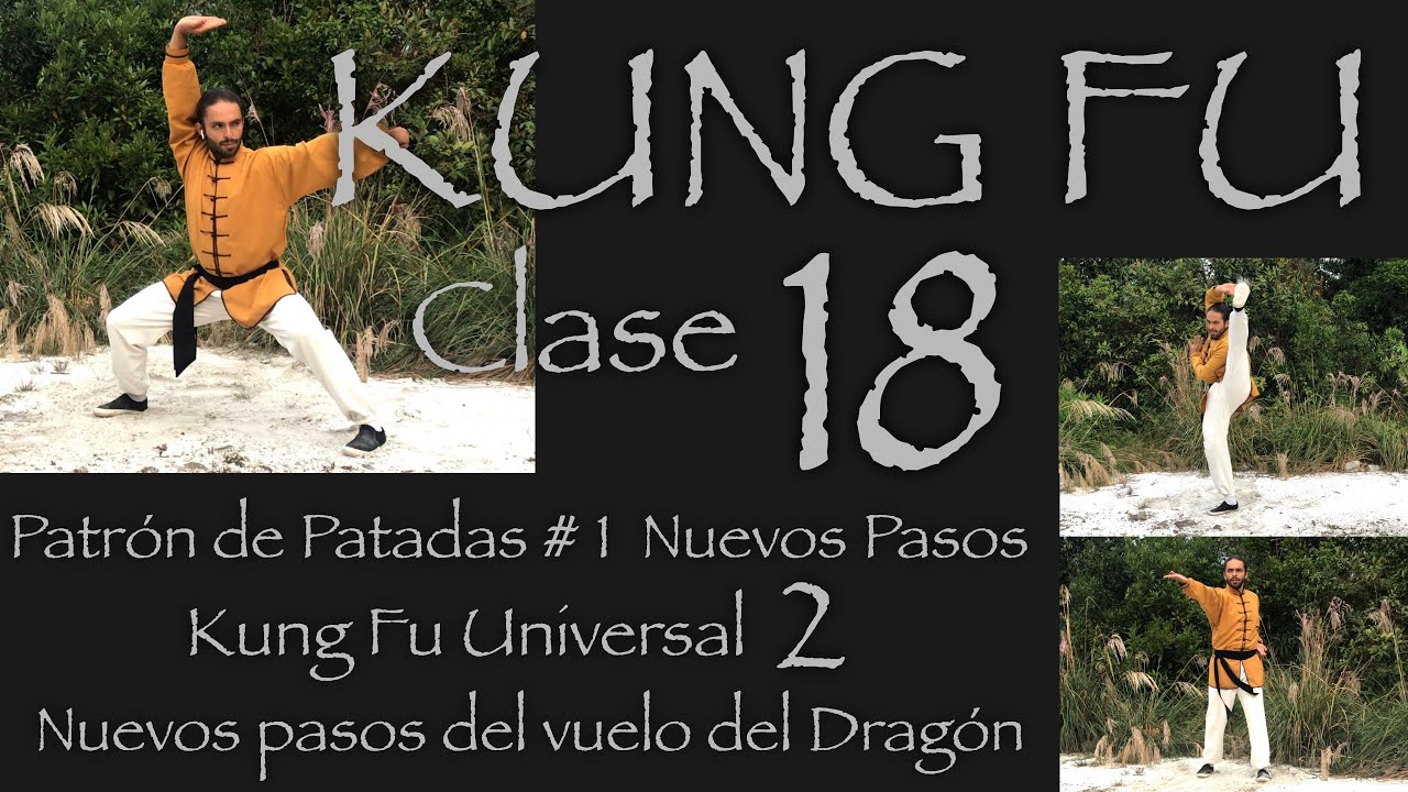 Patrón de patadas #1 Nuevos pasos - Kung fu Universal 2 