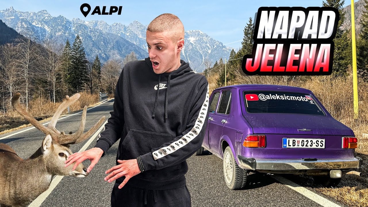 KRENULI ZASTAVOM 101 NA ALPE ! *napad jelena*