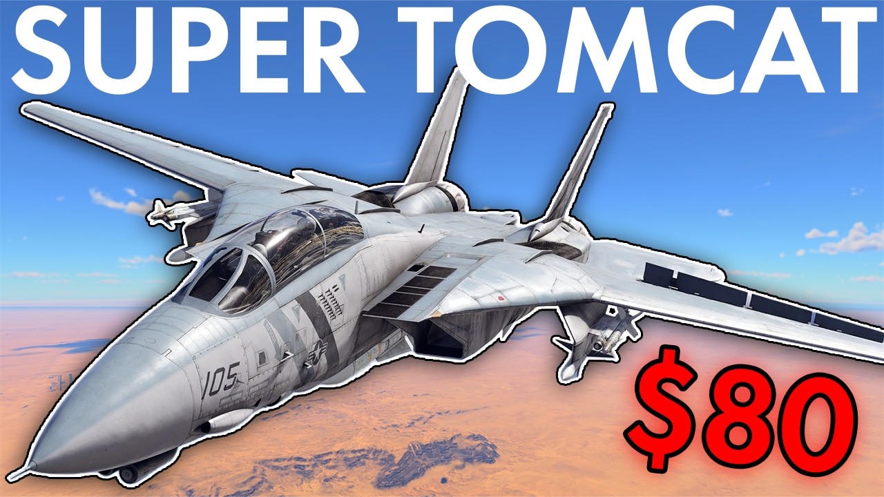 Самый продвинутый Tomcat стоит 80 долларов... F-14D Super Tomcat