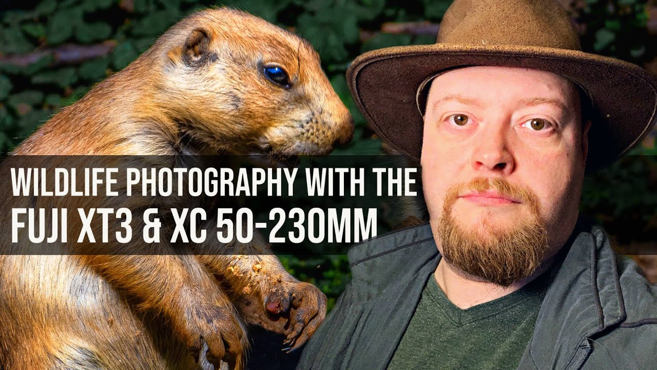 Wildlife Photography Using The Fuji X-T3 & Fuji XC 50-230mm Lens