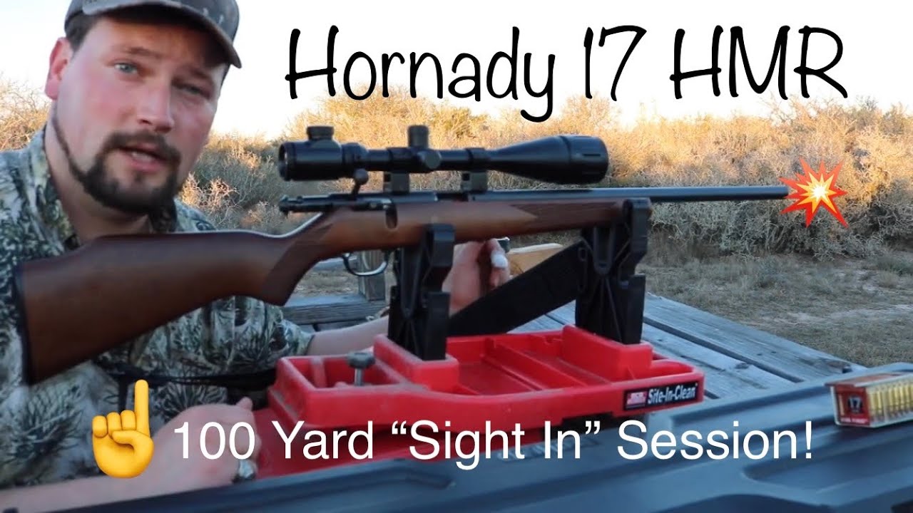 Hornady 17 HMR V-Max (прицел) на 100 ярдов