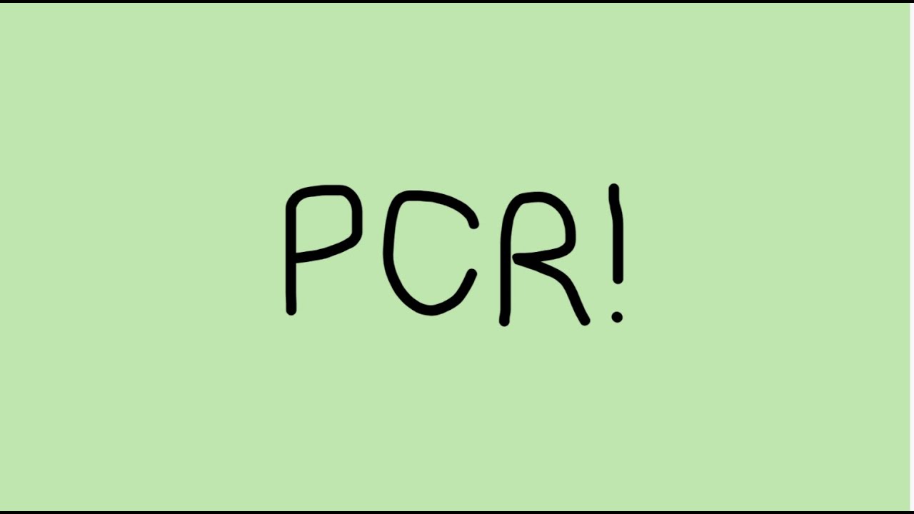 PCR Review