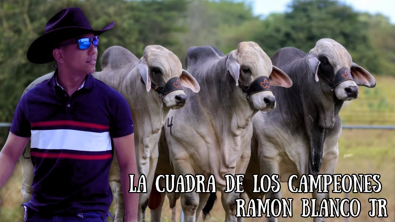 Ramon Blanco Jr - La Cuadra De Los Campeones (Video Audio Oficial)