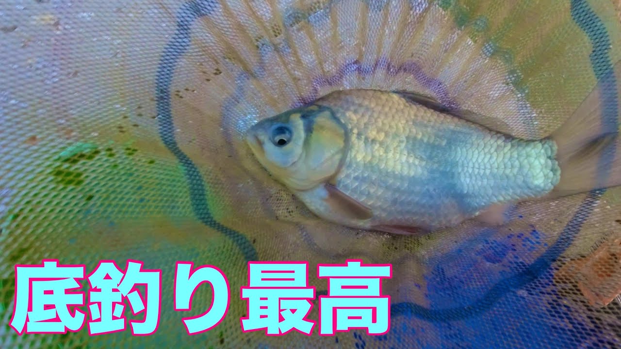 アート・ヘラ・ポンド　千葉県佐倉市