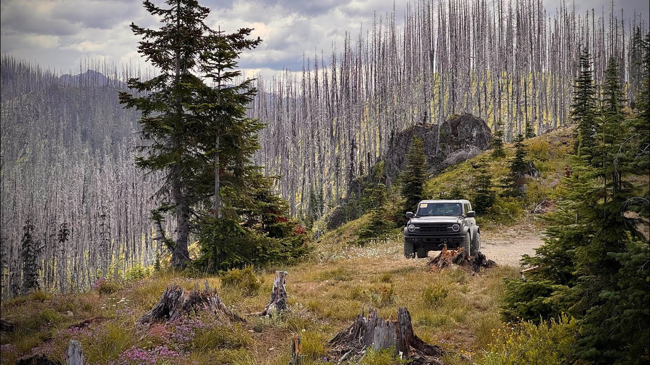 POV: Greenwater Forest Service Roads 75, 73, 72, 72.5, and 70