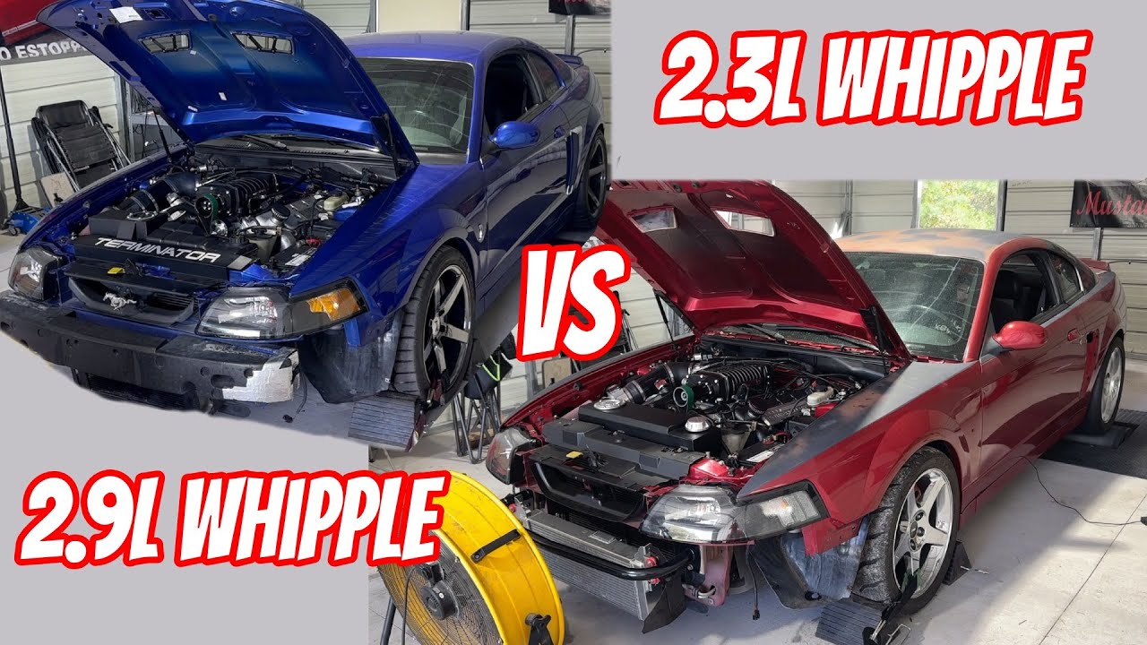 2.3L Whipple vs 2.9L Whipple Dyno Test Father vs Son Cobras