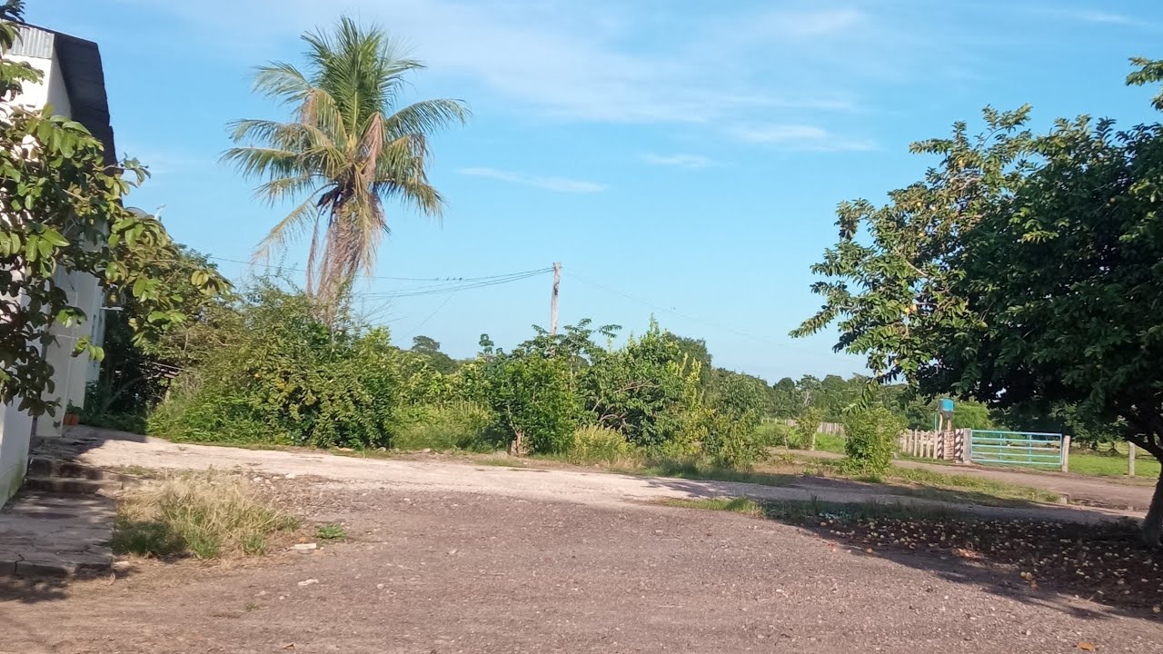 Natureza e seus encantos 🌸 está ao vivo!