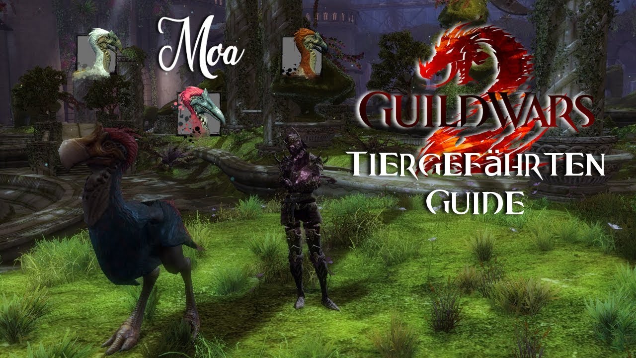 Guild Wars 2 Waldläufer Tiergefährten Guide Moa