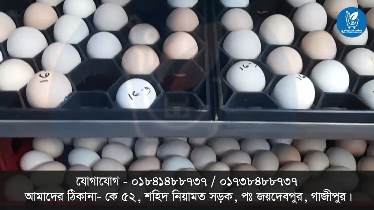 ৮০০ স্যাটার ২০০ হ্যাচার অটো ইনকিউবেটরের ব্যবহার ও ব্রুডিং করার নিয়ম।  G shop bd
