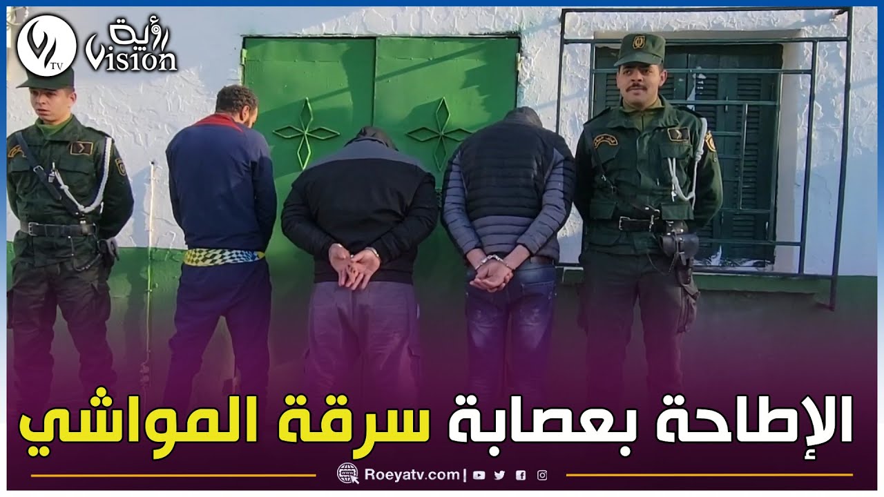 شاااهدوا.. الدرك الوطني بسوق أهراس يطيح بعصابة سرقة المواشي في الزعرورية