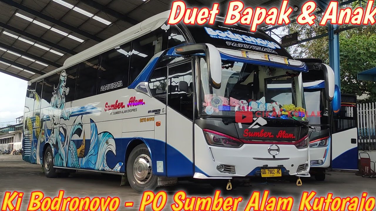 DUET BAPAK ANAK BUS ARTIS BODRONOYO ‼️ HUNTING KESIBUKAN BUS SUMBER ALAM KUTORAJO 13 FEBRUARI 2026