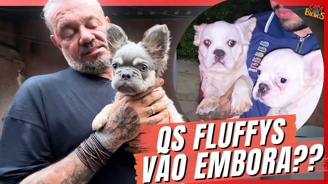 ACABOU… NOS DESPEDIMOS DOS NOSSOS FLUFFY! | A CASA DOS BICHOS