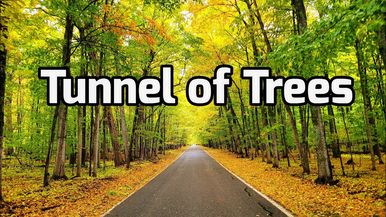 Tunnel of Trees, Michigan -  Cold Rainy Fall Day