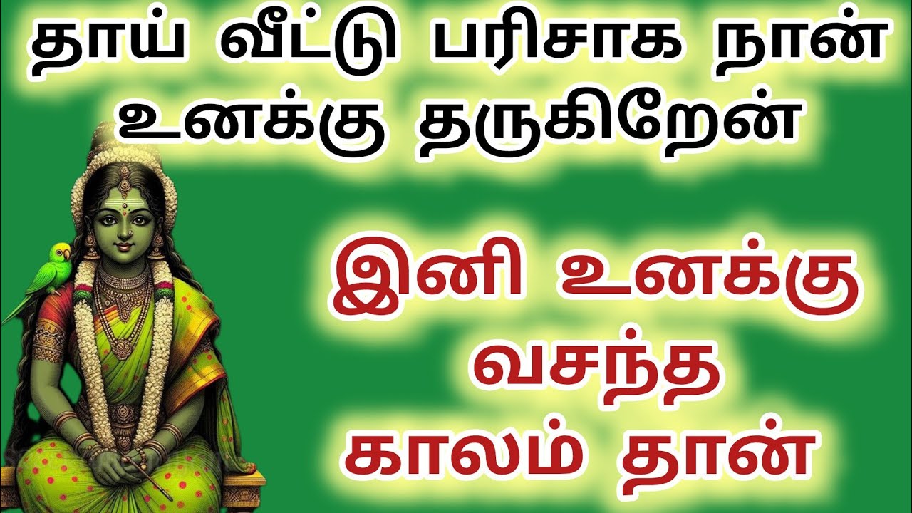 தாய் வீட்டு பரிசாக நான் உனக்கு தருகிறேன் #meenakshi #maduraimeenakshi #amman