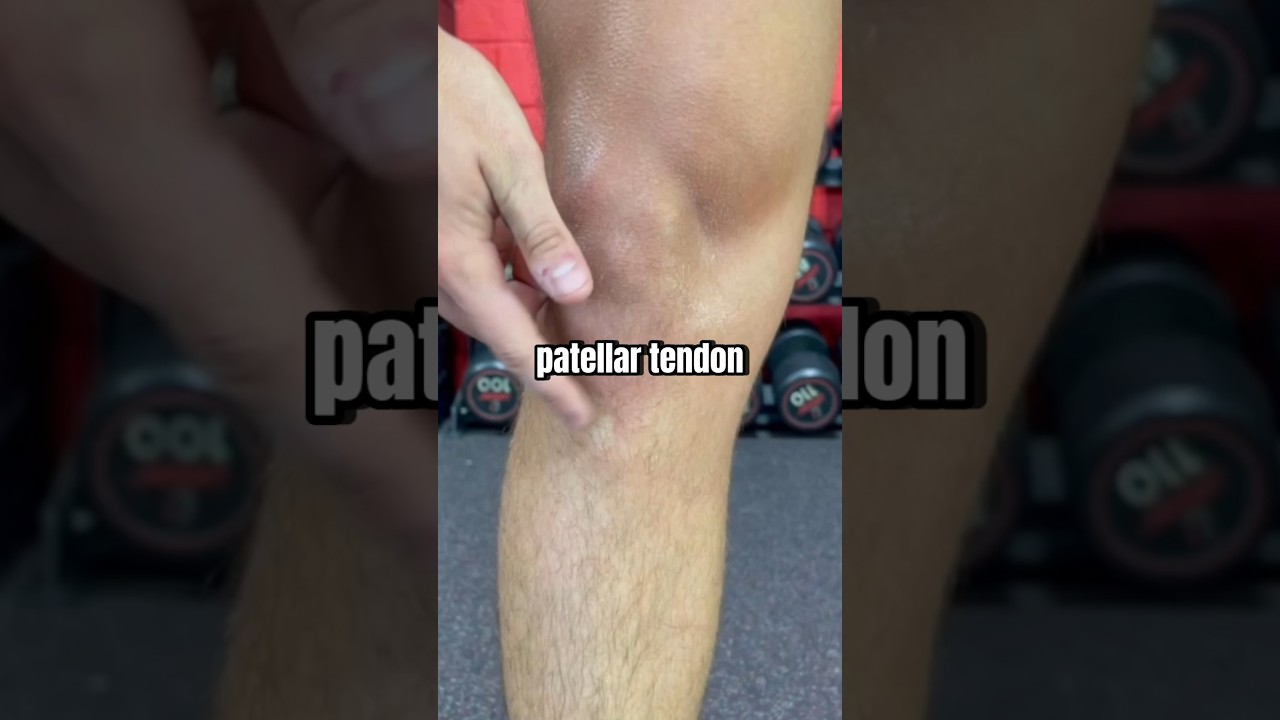 Get Rid Of Knee Pain FAST!
