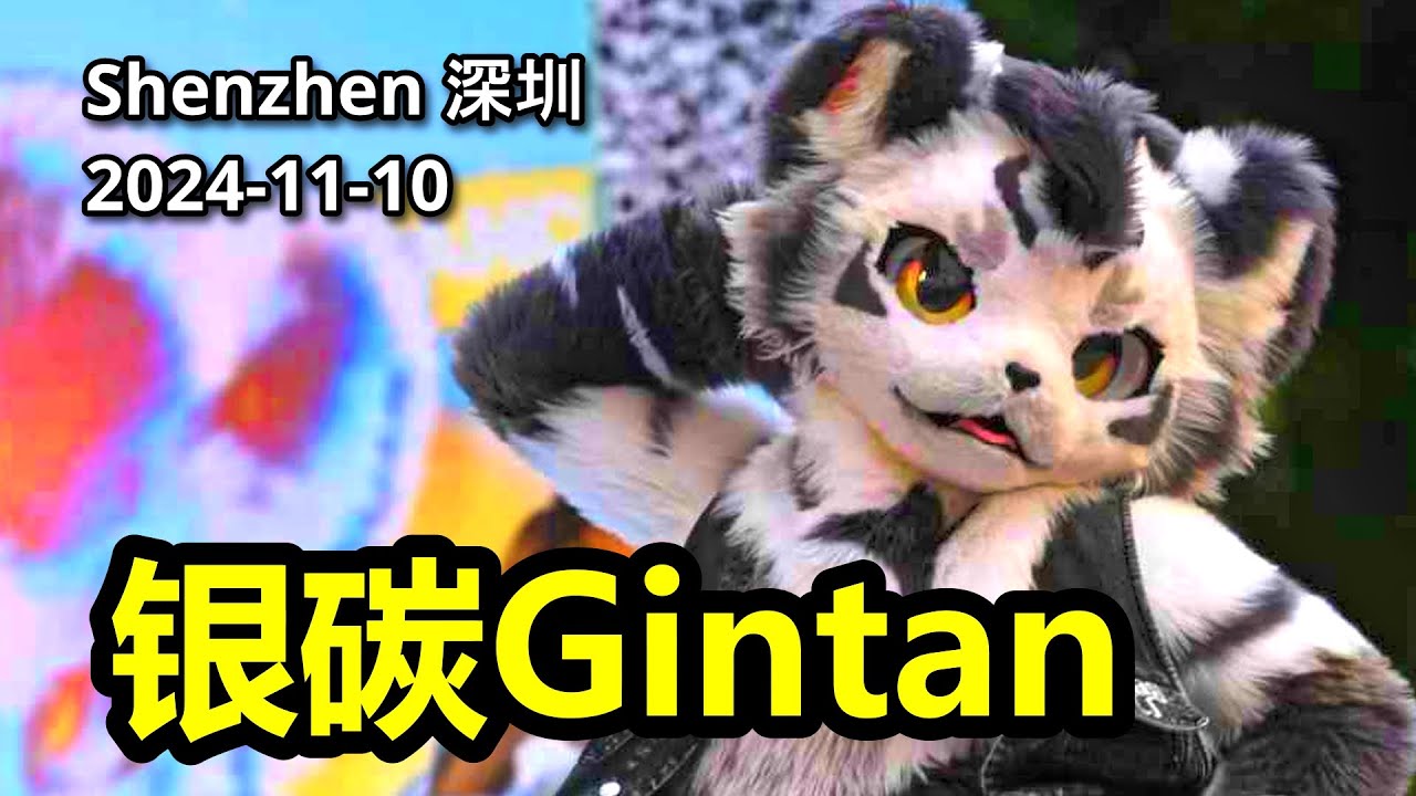 【Fursuit Dance】 银碳Gintan - Random Dance event in Shenzhen 2024-11-10 (Full cut)