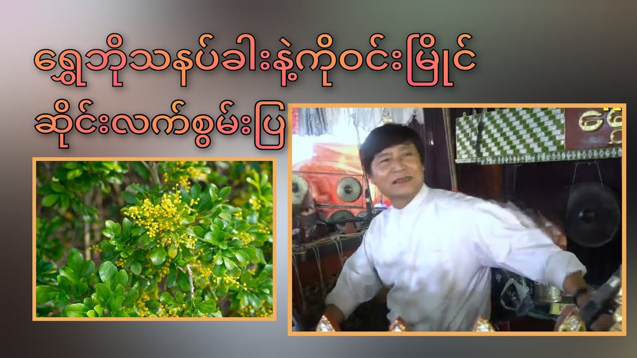 ဒါလေးလည်း အဆိုအတီး နားဝင်ပီယံရှိလှတယ်ဗျို့ | 🥰