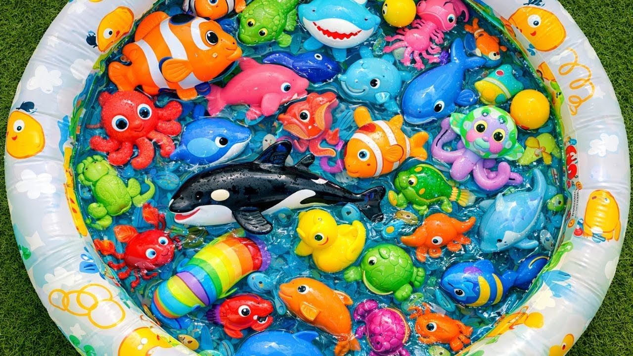 Splash & Learn! 🌊 Sea Animal Names and Fun Facts for Toddlers