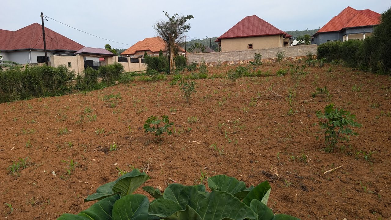 Ikibanza ubuso 608 sqm kigurishwa bugesera kariyeri kayumba mumiturire R 1 mpamagara 0789394412