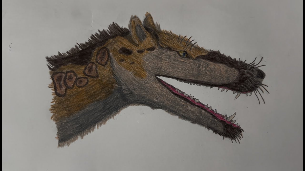Drawing Hyaenodon horridus - Creodont Speed Draw