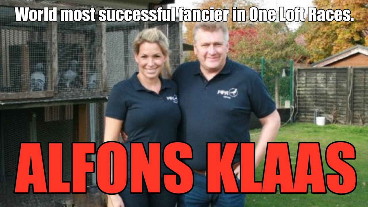 ALFONS KLAAS l One of the Best Fancier in One Loft Race