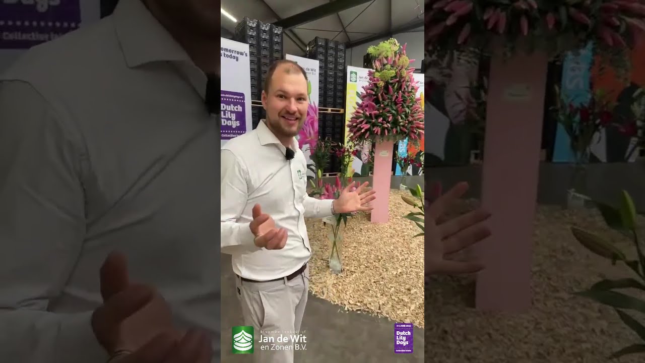 Livestream Dutch Lily Days 2025