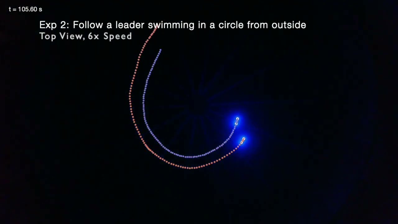 Leader-Follower 3D formation for Underwater Robots (DARS 2024)