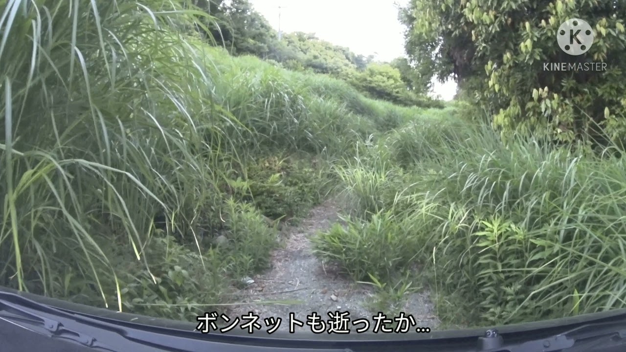 【静菊_東334号 01】静岡県菊川市道 東３３４号線