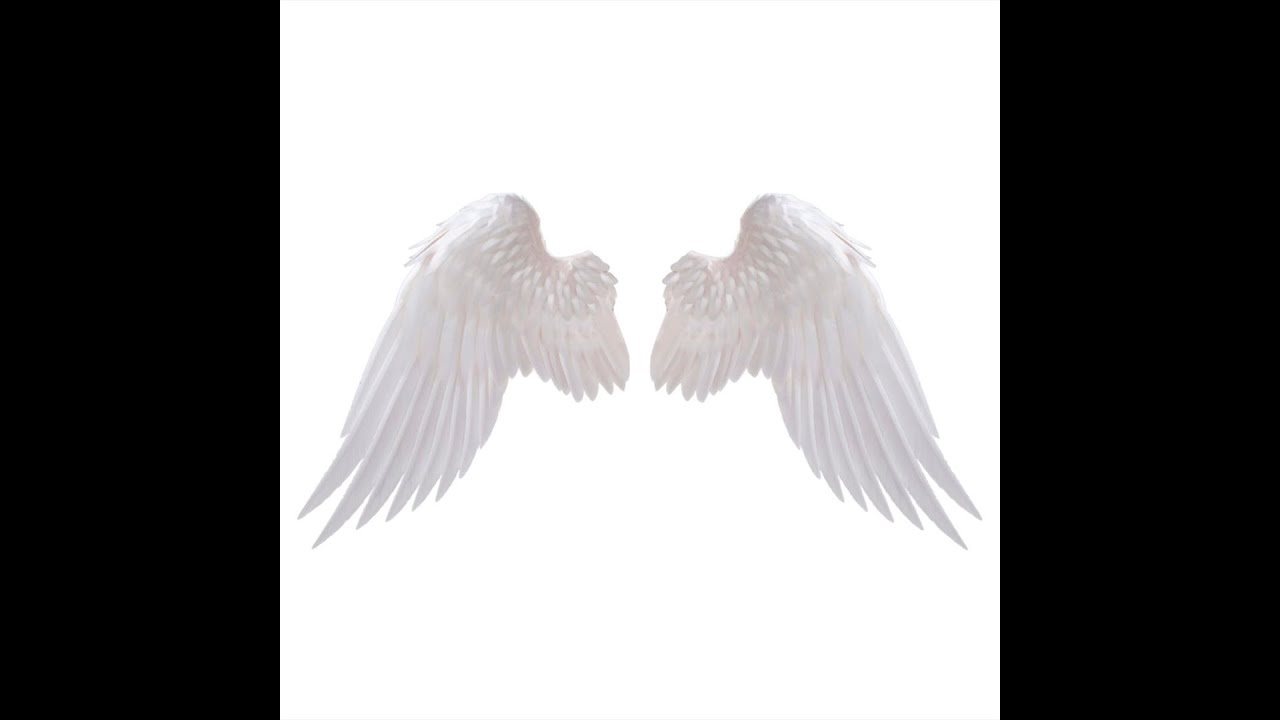 {free} ambient + tempo + sample type beat (angelway)
