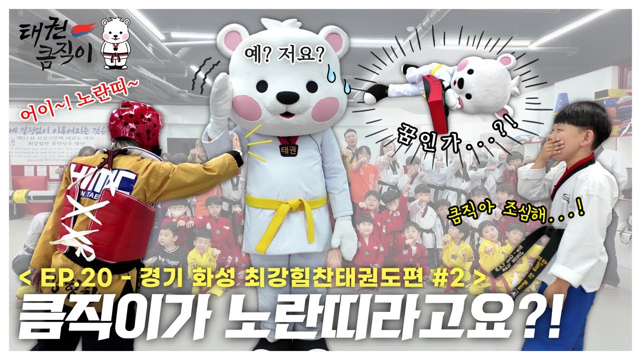 큼직이가 노란띠라고요?!🐻&zwj;❄ [EP.20 경기 화성 최강힘찬태권도편#2] taekwondo president keumjeegi