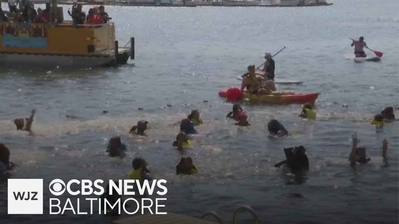 Nearly 200 people signed up to swim in Baltimore's Inner Harbor during 2nd annual 