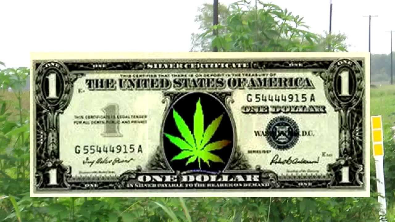 Lets All Grow Some Weed 