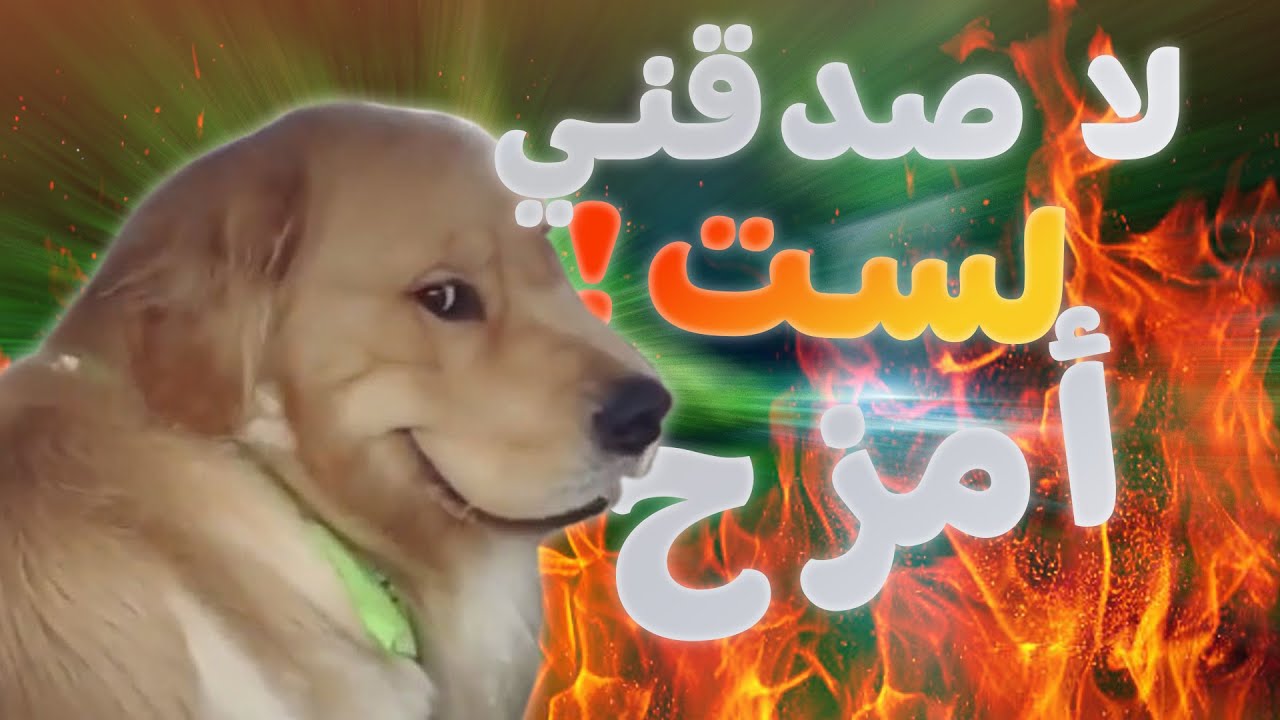 سوف أعلمك أساسيات العمل على بلندر في أقل من عشر دقائق ( للمبتدئين )