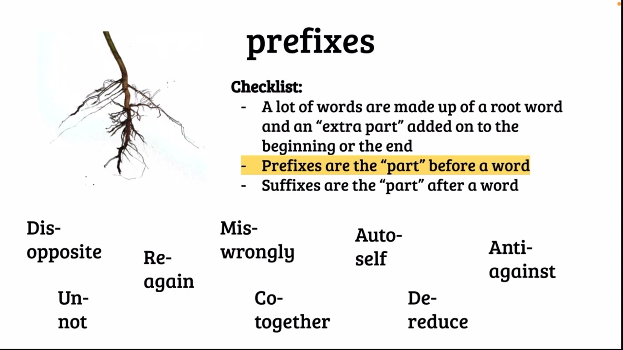 Root words, Prefixes and Suffixes (Ages 8+)
