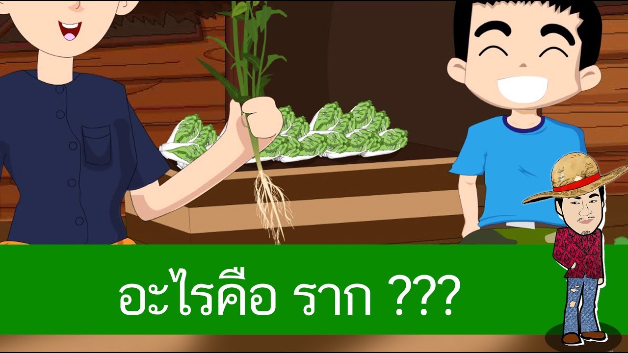 หน้าที่และส่วนประกอบของราก - สื่อการเรียนการสอน วิทยาศาสตร์ ป.4