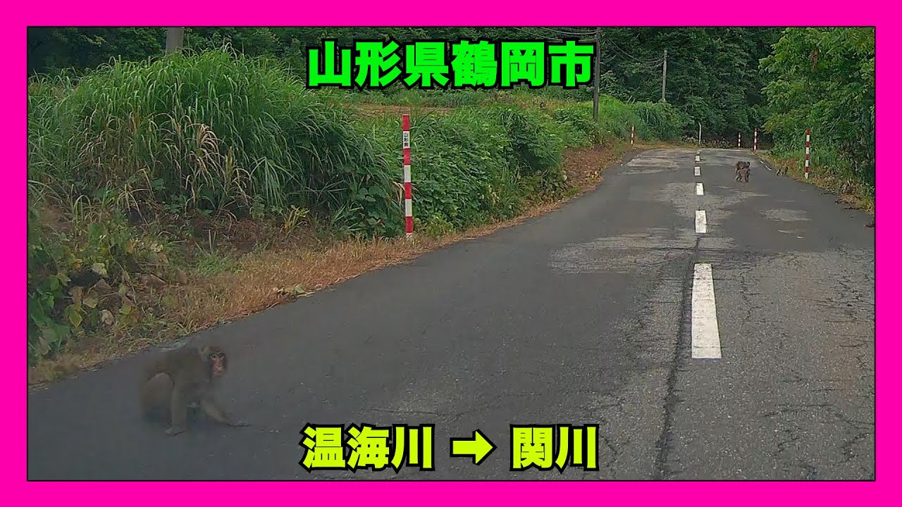 【4K車載動画】山形県鶴岡市　温海川➡関川　VIOFO A129 PRO 動画解像度:3840×2160P@30FPS　2025/8/5