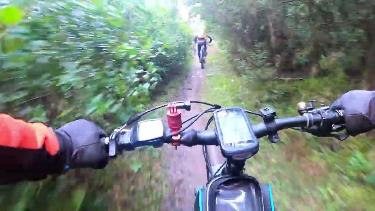 Senda Edorta