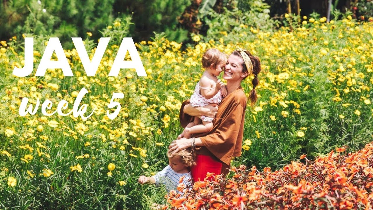 Miljian Family around the world - Week 5 - Java