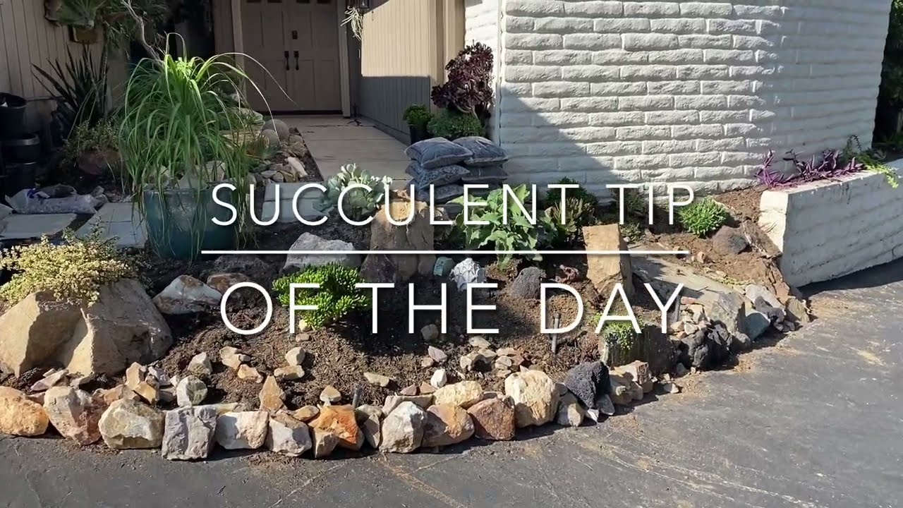 PUTTING SOME FINISH WORK ON A DIY SUCCULENT GARDEN