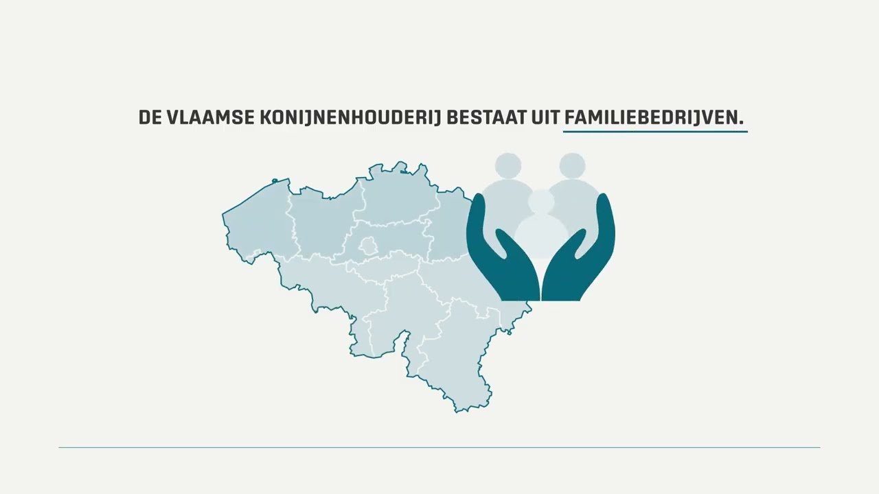 De Vlaamse konijnensector, uitgelegd in 1 minuut