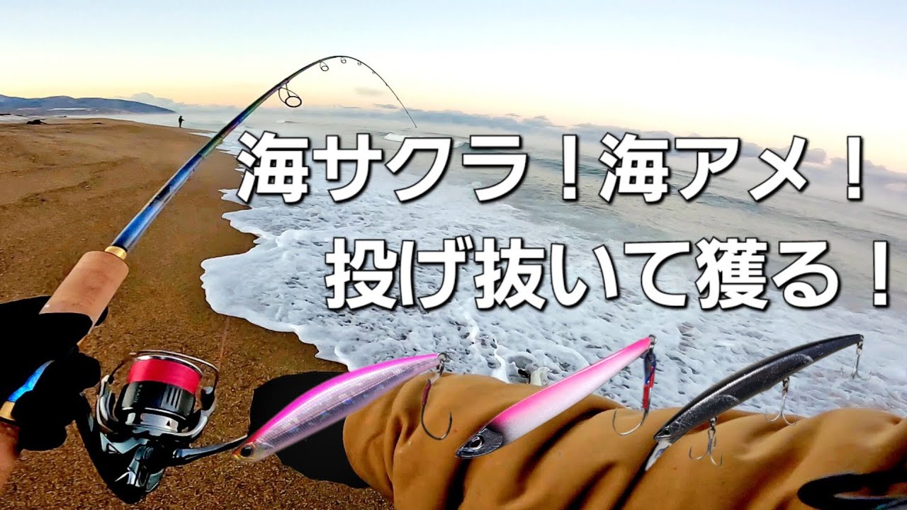 今年初のサーフ海サクラキャッチを目指して投げる！【北海道釣り】【海サクラマス 海アメマス】