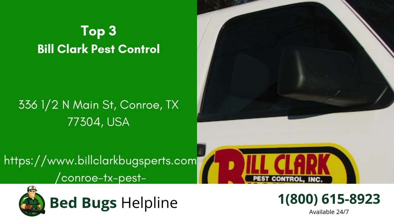 Top 3 Bed Bug Removal Companies in Conroe