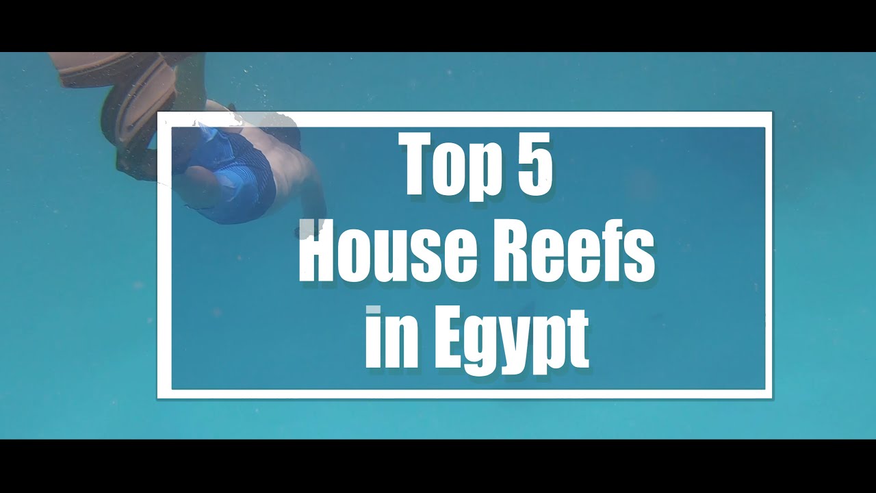 Top 5 House Reefs - Coral Reef Egypt 2023 4k