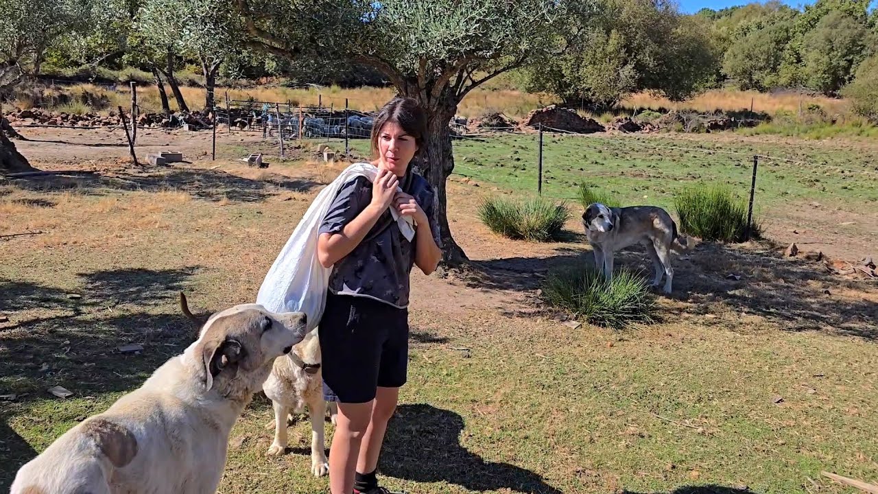 Me parece que Jimena nos tiene una sorpresa preparada