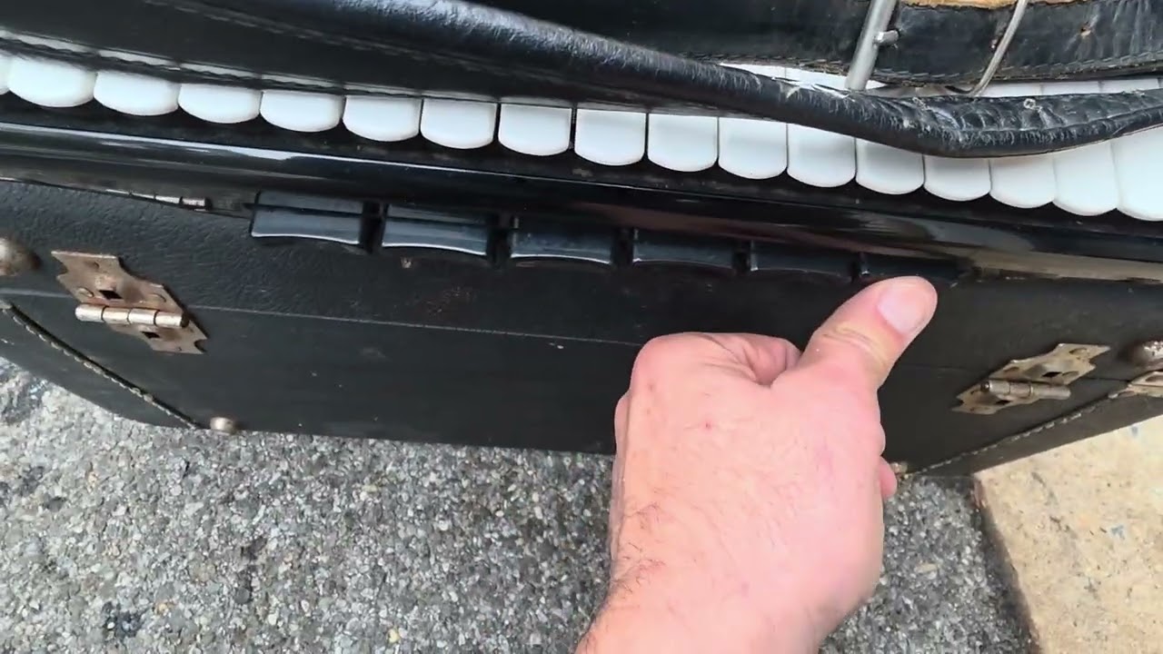 Cordovox Electric Accordion on Ebay
