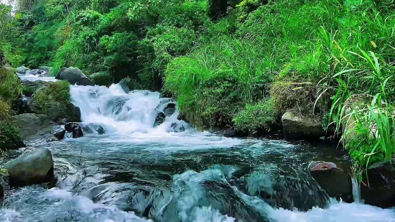 Flowing Mountain Water Stream, Forest River Sounds, Sleep