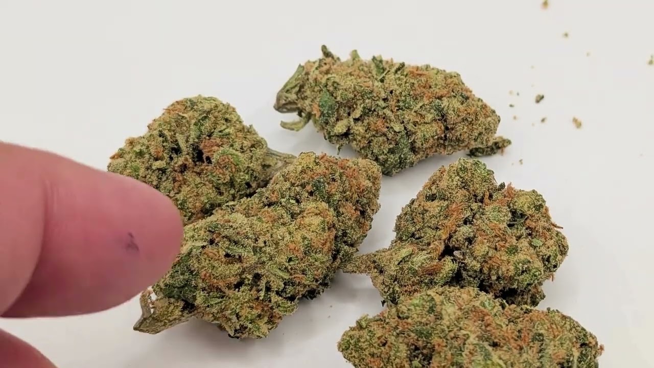 THCA SMALL BUDS | DANK ZOAP | 🧼DANK SERIES 🦩⛽️🔥