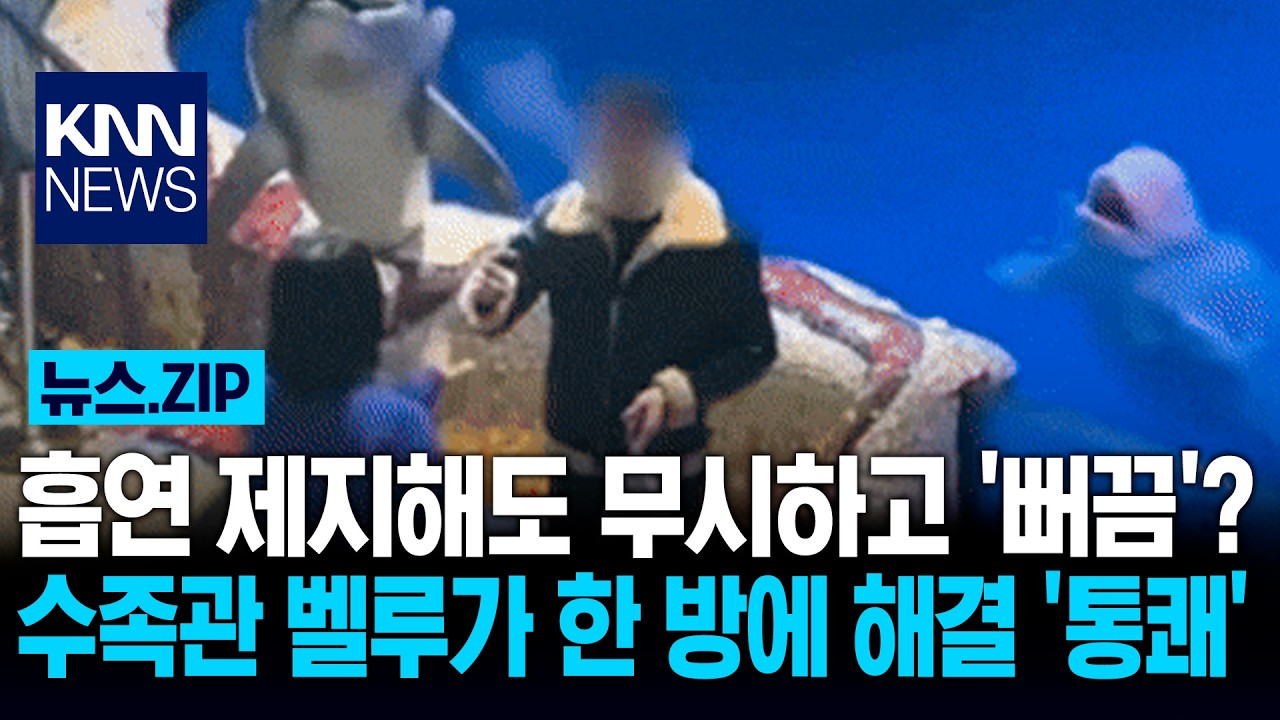 흡연 제지해도 무시하고 '뻐끔'? 수족관 벨루가 한 방에 해결 '통쾌' / KNN